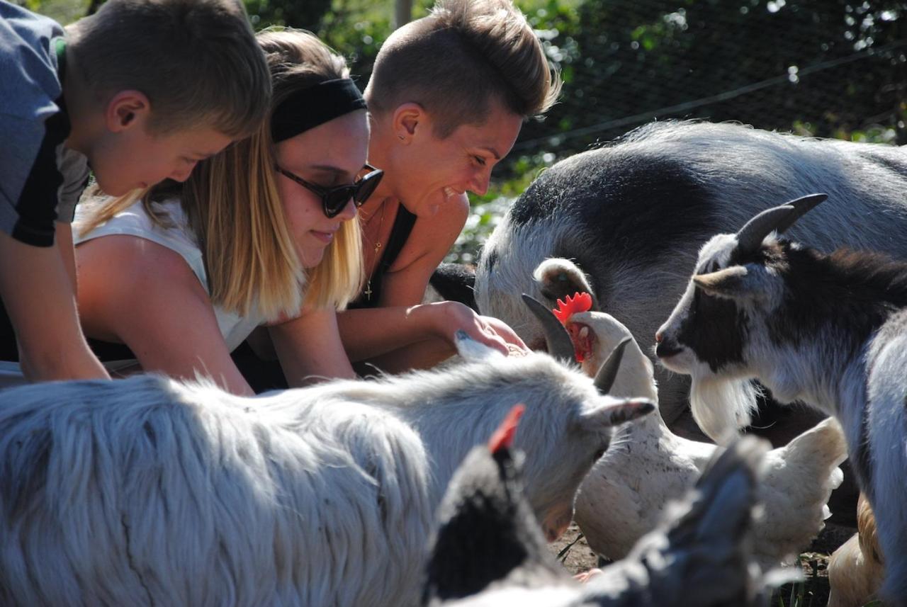 Отель Delny Glamping And Farm Animals Инвергордон Экстерьер фото